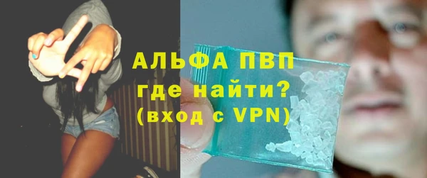 индика Бронницы