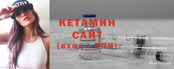 индика Бронницы
