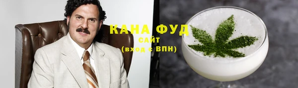индика Бронницы