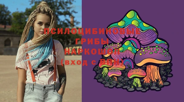 ГАЛЛЮЦИНОГЕННЫЕ ГРИБЫ Бугульма
