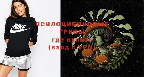 индика Бронницы