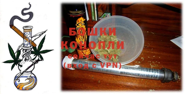 индика Бронницы