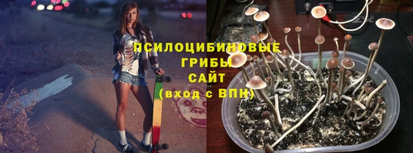 индика Бронницы