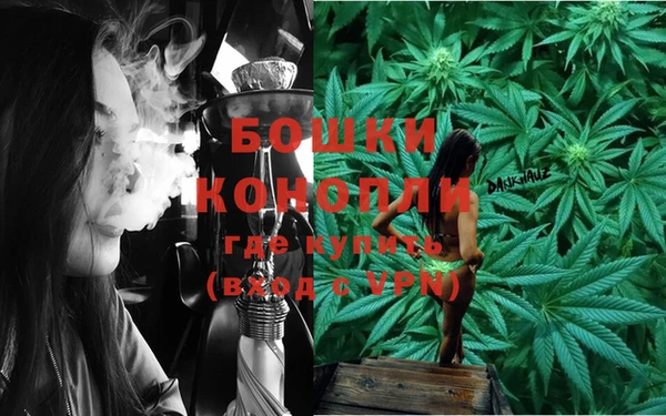 индика Бронницы