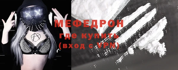 индика Бронницы